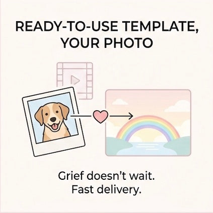 “Golden Horizon” ——Custom Pet Memorial Video – 30-Second Rainbow Bridge Tribute Film for Dogs, Cats & All Pets (Digital Download)