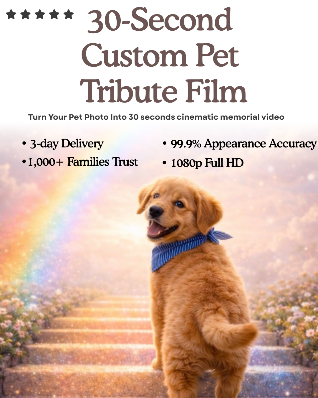 “Golden Horizon” ——Custom Pet Memorial Video – 30-Second Rainbow Bridge Tribute Film for Dogs, Cats & All Pets (Digital Download)