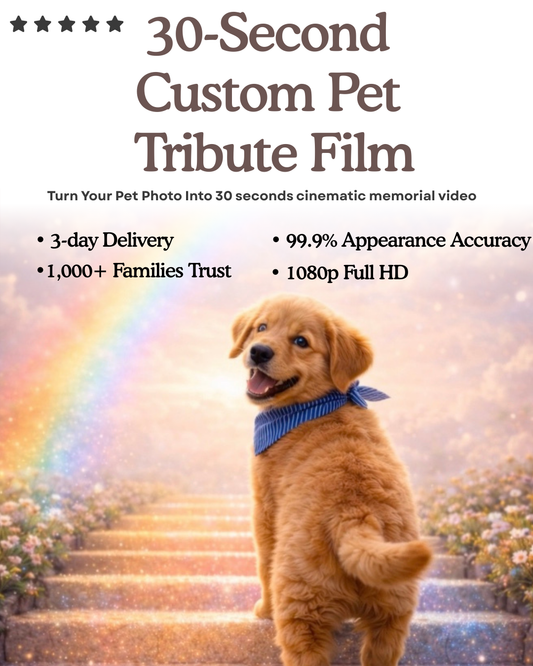 “Golden Horizon” ——Custom Pet Memorial Video – 30-Second Rainbow Bridge Tribute Film for Dogs, Cats & All Pets (Digital Download)
