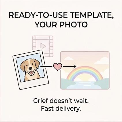 Custom Pet Memorial Video - 30-Second Rainbow Bridge Tribute Animation Film (Digital Download)