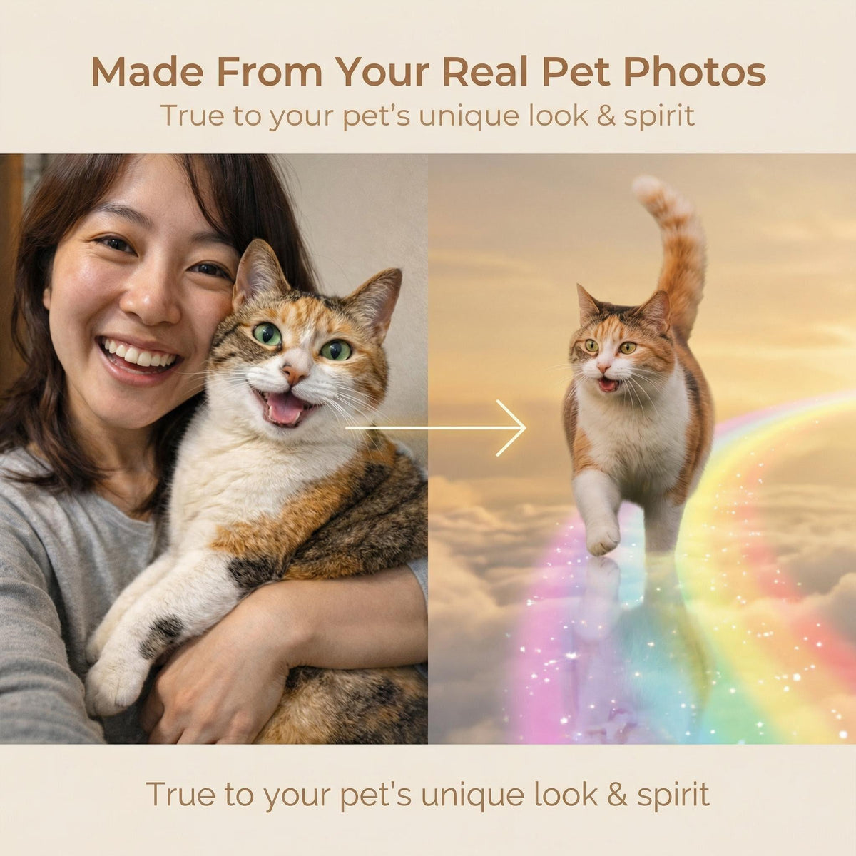 Custom Pet Memorial Video – 10-Second Tribute, Rainbow Bridge Animation (Digital Download)