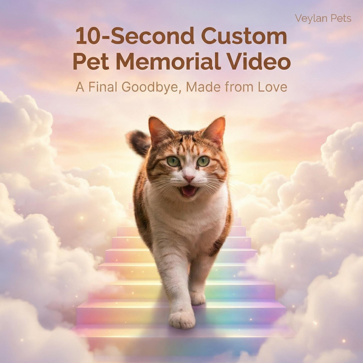 Custom Pet Memorial Video – 10-Second Tribute, Rainbow Bridge Animation (Digital Download)