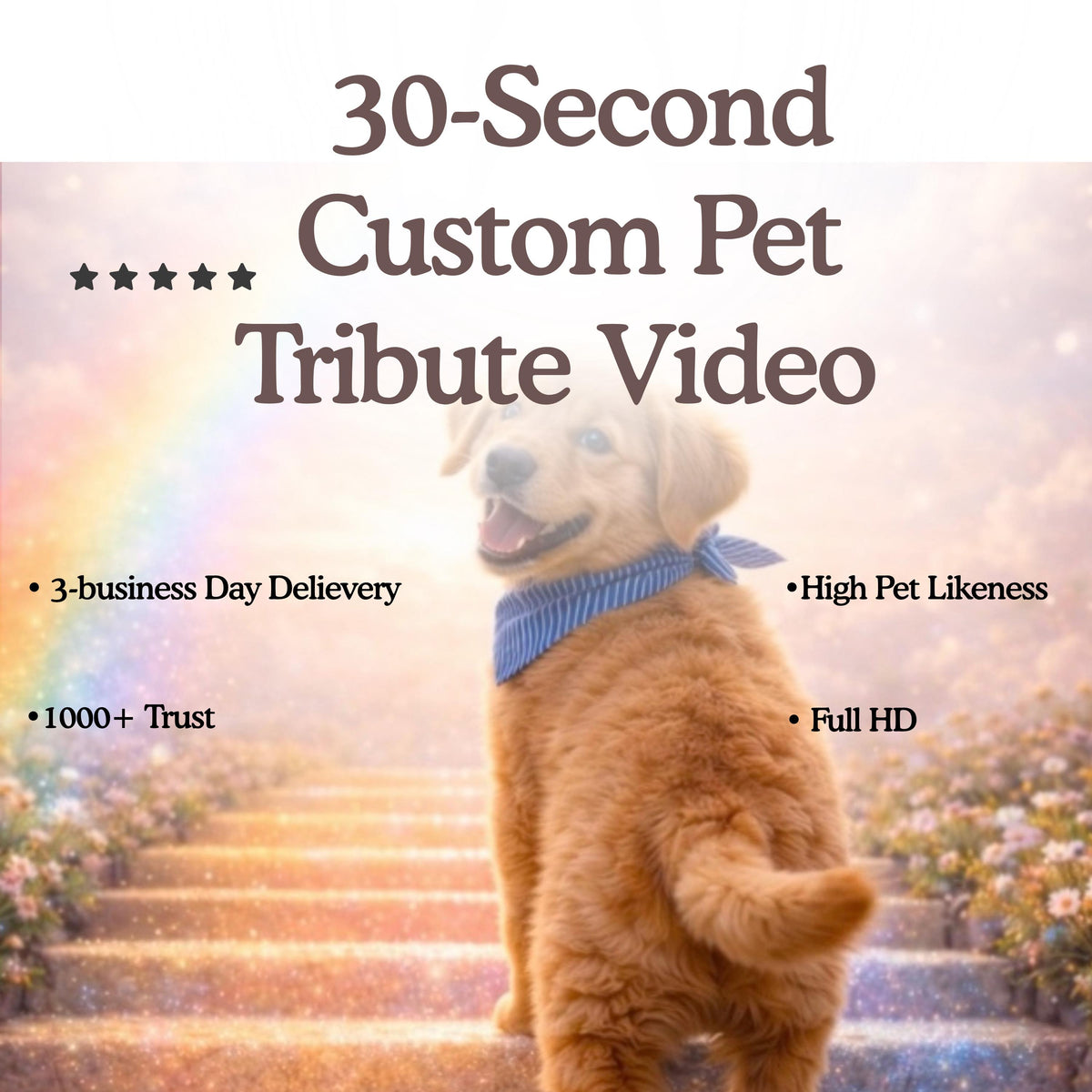 Custom Pet Memorial Video - 30-Second Rainbow Bridge Tribute Animation Film (Digital Download)