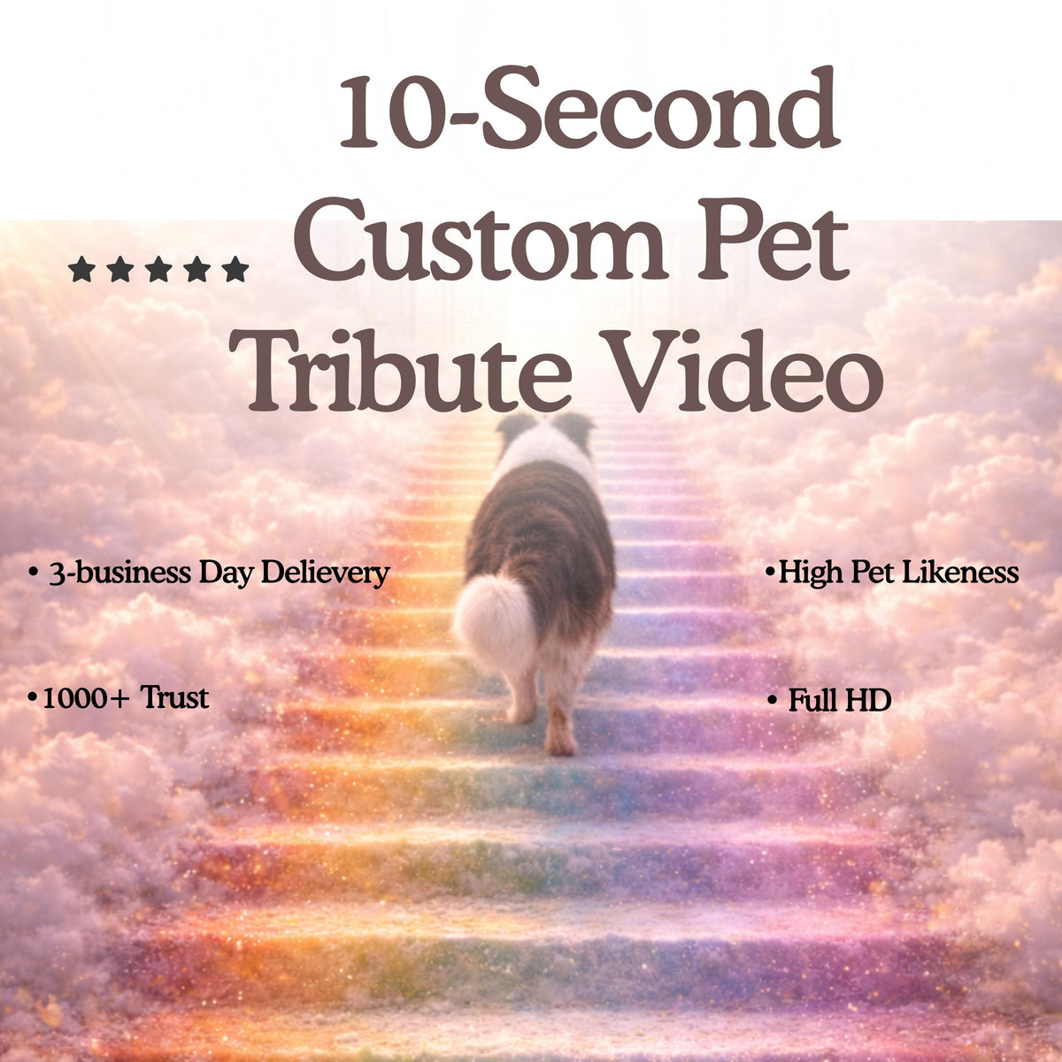 Custom Pet Memorial Video – 10-Second Tribute, Rainbow Bridge Animation (Digital Download)