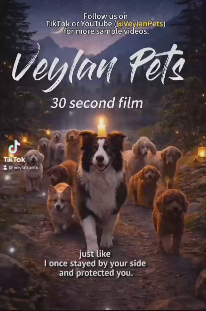 “Golden Horizon” ——Custom Pet Memorial Video – 30-Second Rainbow Bridge Tribute Film for Dogs, Cats & All Pets (Digital Download)