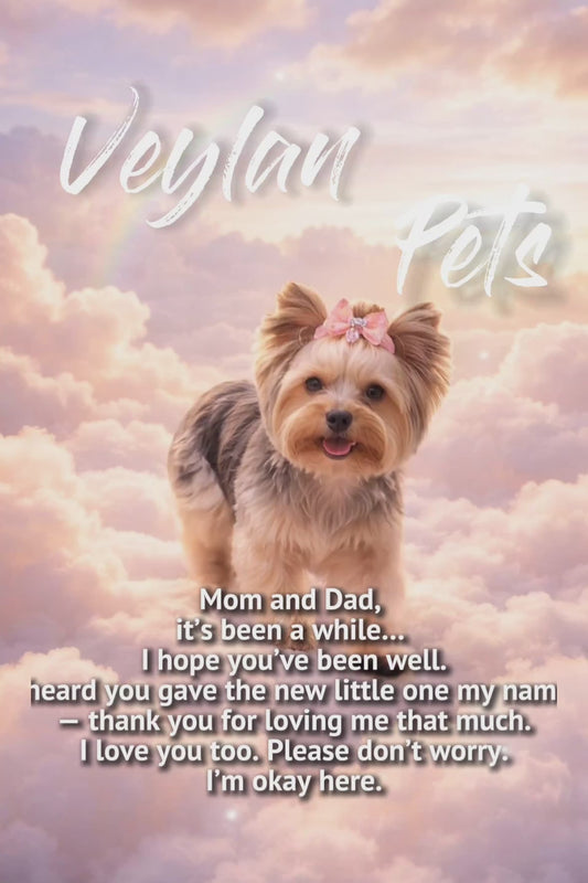 “Heavenly Farewell Moment“ - Rainbow Bridge Pet Memorial Video | Custom 9-10s Tribute Animation from Your Photos | Heartfelt Digital Keepsake(Digital Download)