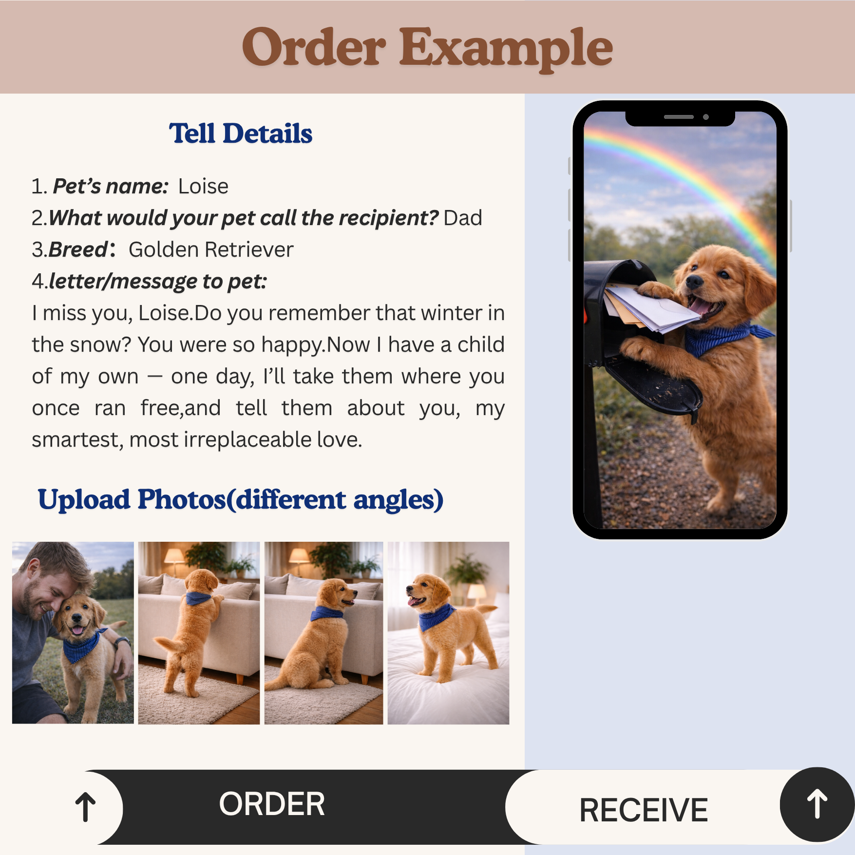 “Golden Horizon” ——Custom Pet Memorial Video – 30-Second Rainbow Bridge Tribute Film for Dogs, Cats & All Pets (Digital Download)